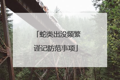 蛇类出没频繁 谨记防范事项