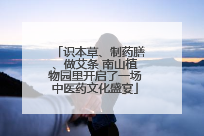 识本草、制药膳、做艾条 南山植物园里开启了一场中医药文化盛宴