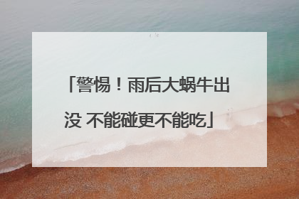 警惕！雨后大蜗牛出没 不能碰更不能吃
