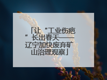 让“工业伤疤”长出春天——辽宁加快废弃矿山治理观察