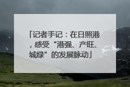 记者手记：在日照港，感受“港强、产旺、城绿”的发展脉动