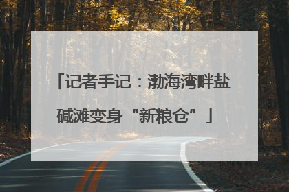 记者手记：渤海湾畔盐碱滩变身“新粮仓”