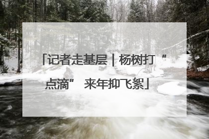 记者走基层｜杨树打“点滴” 来年抑飞絮