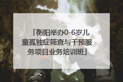 衡阳举办0-6岁儿童孤独症筛查与干预服务项目业务培训班