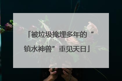被垃圾掩埋多年的“镇水神兽”重见天日