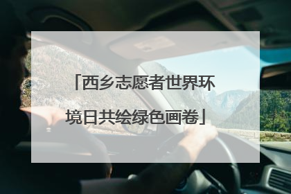 西乡志愿者世界环境日共绘绿色画卷