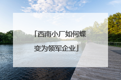 西南小厂如何蝶变为领军企业
