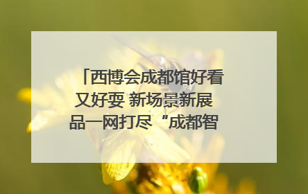 西博会成都馆好看又好耍 新场景新展品一网打尽“成都智造”｜西博视界