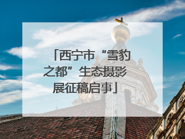西宁市“雪豹之都”生态摄影展征稿启事