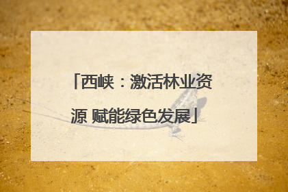 西峡：激活林业资源 赋能绿色发展