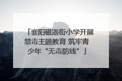 襄阳磁器街小学开展禁毒主题教育 筑牢青少年“无毒防线”