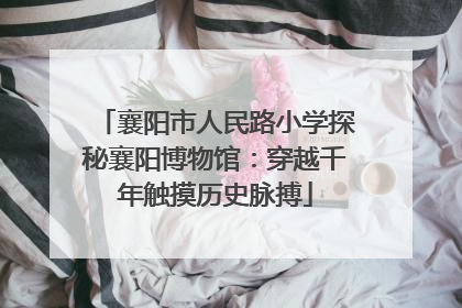 襄阳市人民路小学探秘襄阳博物馆：穿越千年触摸历史脉搏