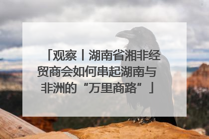 观察丨湖南省湘非经贸商会如何串起湖南与非洲的“万里商路”