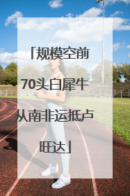 规模空前 70头白犀牛从南非运抵卢旺达
