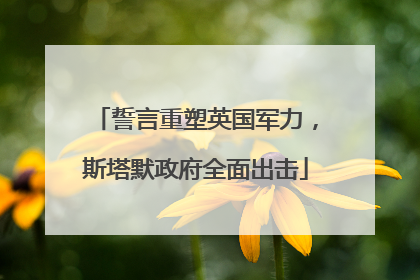 誓言重塑英国军力，斯塔默政府全面出击
