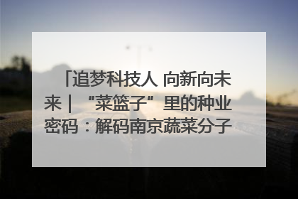 追梦科技人 向新向未来｜“菜篮子”里的种业密码：解码南京蔬菜分子育种的创新之路
