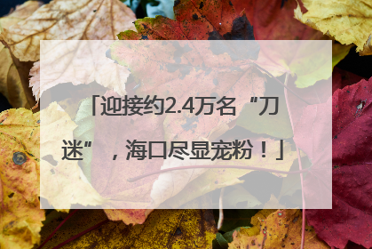 迎接约2.4万名“刀迷”，海口尽显宠粉！