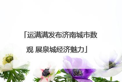 运满满发布济南城市数观 展泉城经济魅力