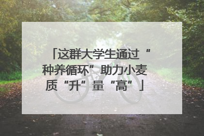 这群大学生通过“种养循环”助力小麦质“升”量“高”