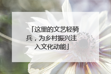 这里的文艺轻骑兵，为乡村振兴注入文化动能