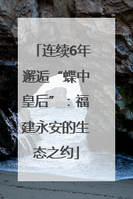 连续6年邂逅“蝶中皇后”：福建永安的生态之约