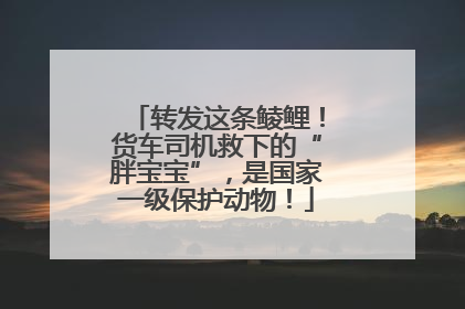 转发这条鲮鲤！货车司机救下的“胖宝宝”，是国家一级保护动物！