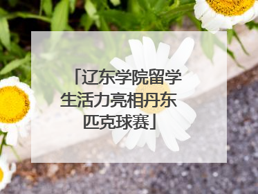 辽东学院留学生活力亮相丹东匹克球赛