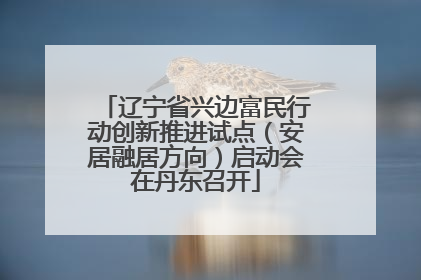 辽宁省兴边富民行动创新推进试点（安居融居方向）启动会在丹东召开