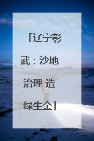 辽宁彰武：沙地治理 造绿生金