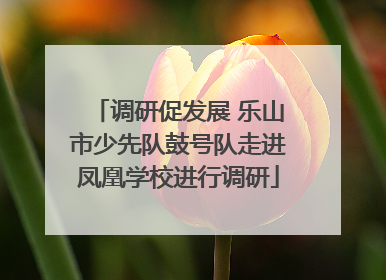 调研促发展 乐山市少先队鼓号队走进凤凰学校进行调研