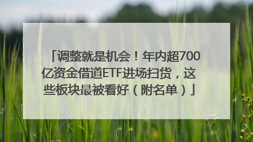 调整就是机会！年内超700亿资金借道ETF进场扫货，这些板块最被看好（附名单）