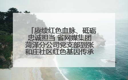 赓续红色血脉、砥砺忠诚担当 省网媒集团菏泽分公司党支部到张和庄社区红色基因传承馆开展主题党日活动