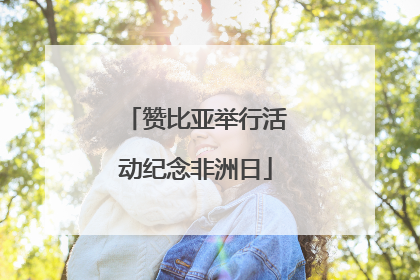赞比亚举行活动纪念非洲日