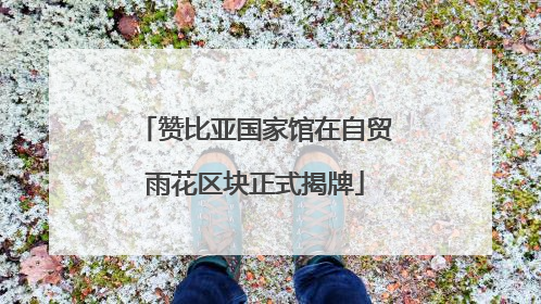 赞比亚国家馆在自贸雨花区块正式揭牌