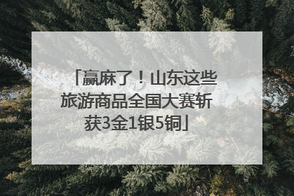 赢麻了！山东这些旅游商品全国大赛斩获3金1银5铜