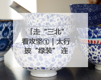 走“三北” 看攻坚①｜太行披“绿装” 连翘药茶香