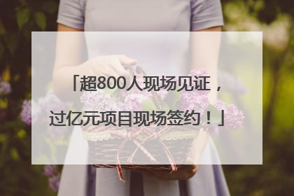 超800人现场见证，过亿元项目现场签约！