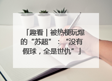 趣看｜被热梗玩爆的“苏超”：“没有假球，全是世仇”