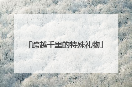 跨越千里的特殊礼物