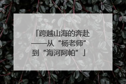 跨越山海的奔赴——从“杨老师”到“海河阿帕”