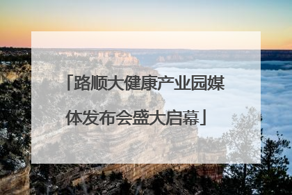 路顺大健康产业园媒体发布会盛大启幕
