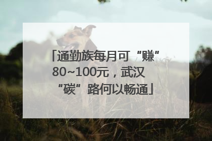 通勤族每月可“赚”80~100元，武汉“碳”路何以畅通