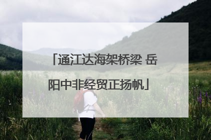 通江达海架桥梁 岳阳中非经贸正扬帆