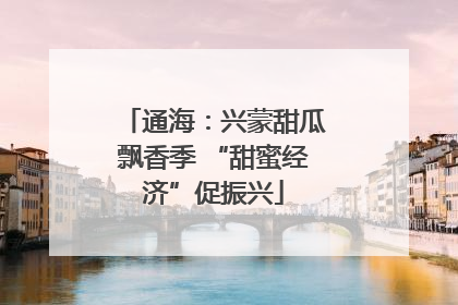 通海：兴蒙甜瓜飘香季 “甜蜜经济”促振兴