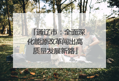 通辽市：全面深化能源改革闯出高质量发展新路