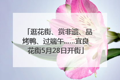 逛花街、赏非遗、品烤鸭、过端午……宜良花街5月28日开街