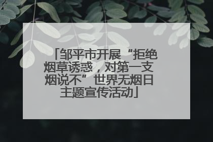 邹平市开展“拒绝烟草诱惑，对第一支烟说不”世界无烟日主题宣传活动