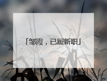 邹霞，已履新职