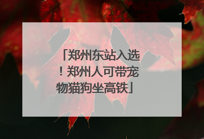 郑州东站入选！郑州人可带宠物猫狗坐高铁
