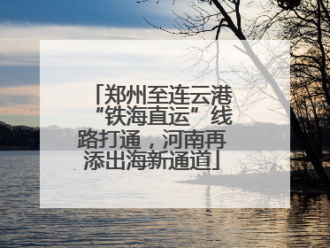 郑州至连云港“铁海直运”线路打通，河南再添出海新通道